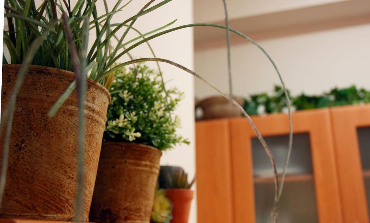 Acropolis, Urban Lifestyle Apartment Athén Kültér fotó